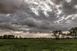 Blog 8 Weather, inflation and home values: The perfect insurance storm!!